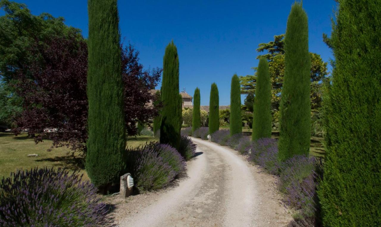 Maison De Campagne Au Charme Provencal Villa Saint-Rémy-de-Provence Exterior foto